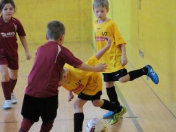 mini-IMG_6951